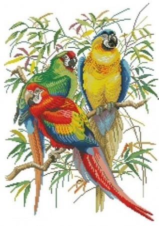 Korssting pakke - Fargerike papegøyer 38x52cm (Påtegnet)