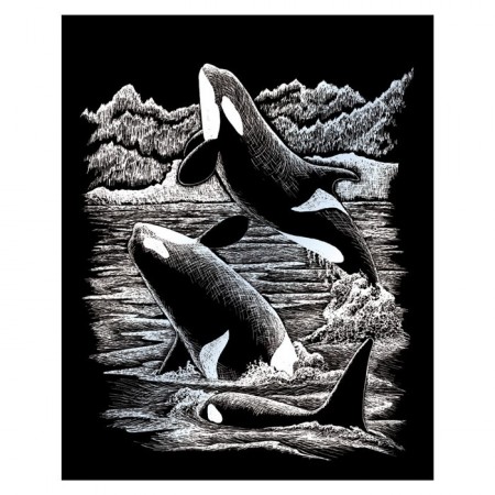 Skrapebilde - Hvaler på sølvfolie