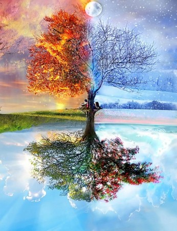 Paint by numbers - Four season tree 40x50 cm (pt)