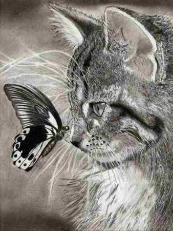 Diamond painting  - Katt og sommerfugl 40x50 cm