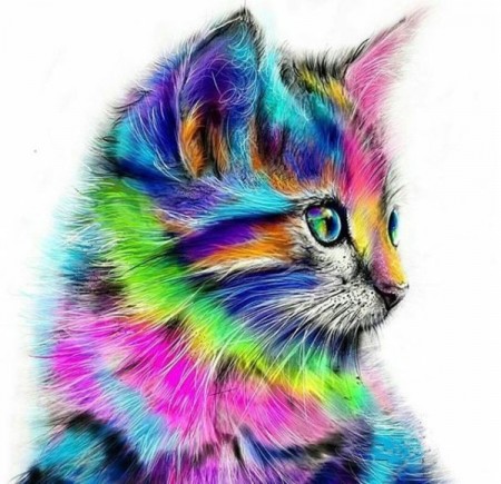 Diamond Painting - Fargerik katt 40x40cm