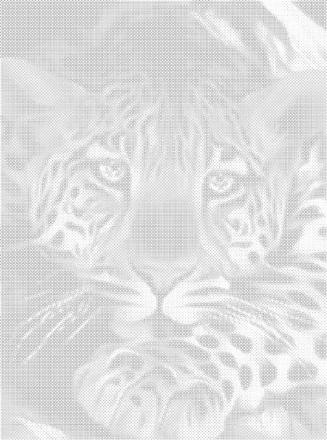 Dots painting / prikkmaleri - Tiger 30x40cm