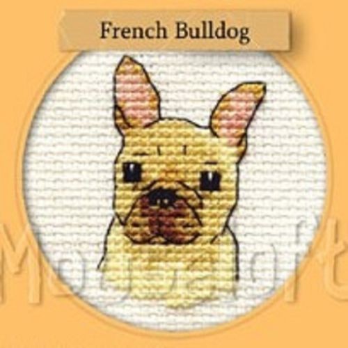 Fransk bulldog - Korssting for barn
