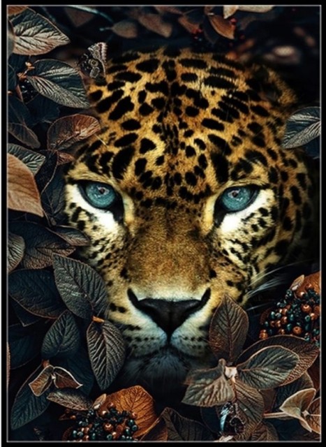 Diamond painting - Leopard face 40x50 cm