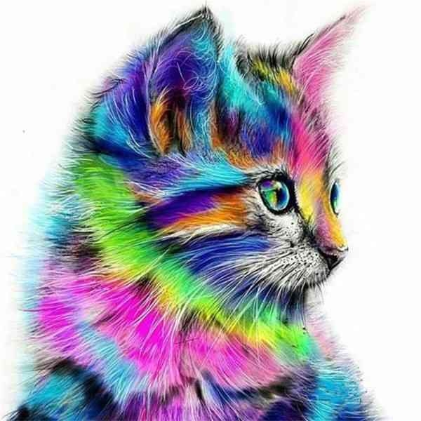 Paint by numbers - colorful cat