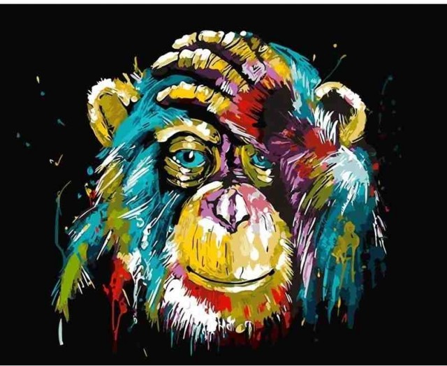 Paint by numbers - Fargerik ape 40x50 cm