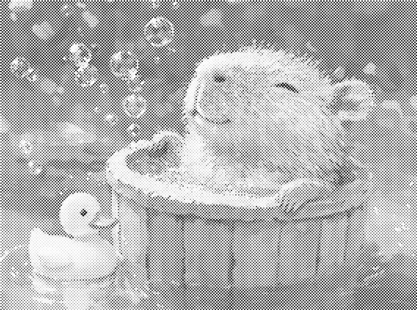 Dots painting / prikkmaling - Spadag 40x30cm