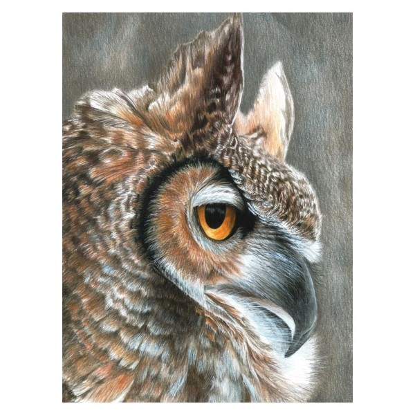 Fargelegging etter tall - Sepia Owl