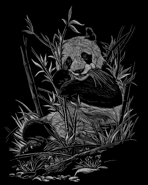 Panda skrapebilde på sølv bakgrunn