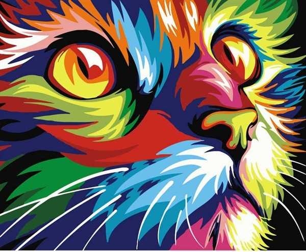 maleri - paint by numbers - Colorful Cat
