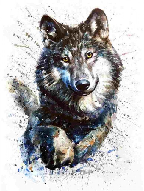 Paint by numbers - wolf