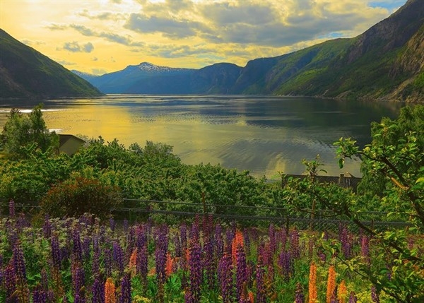 Ravensburger puslespill - Fjord i Norge 1000