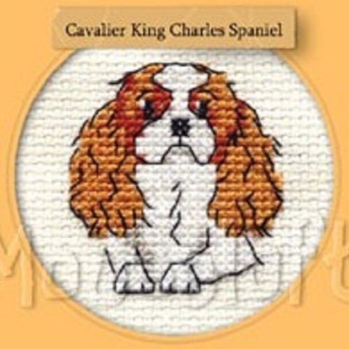 Cavalier King Charles Spaniel - Korssting