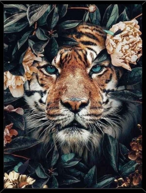 Diamond painting - Tiger face 40x50cm