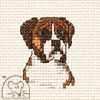 Mini korssting - Boxer