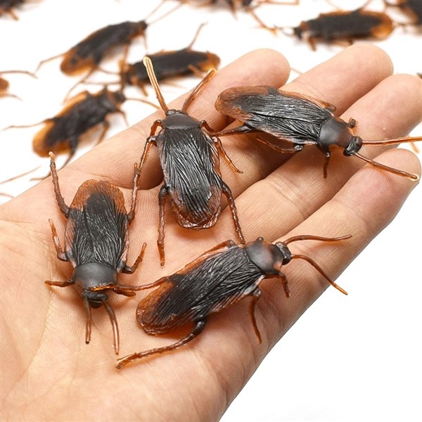 kakerlakker