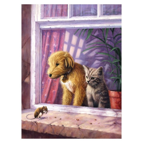 Paint by numbers - Window Watching
